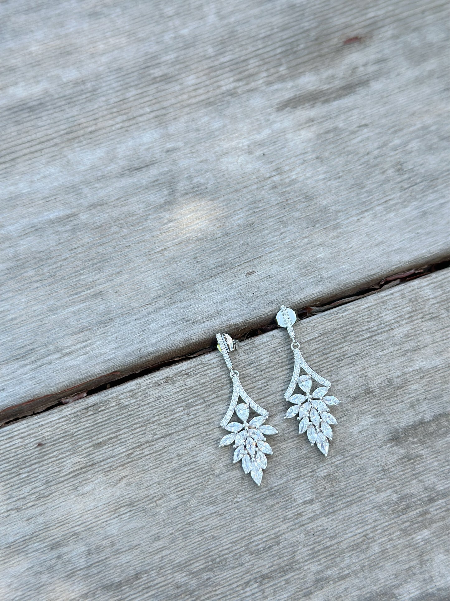 Elegant Drop Design Earrings