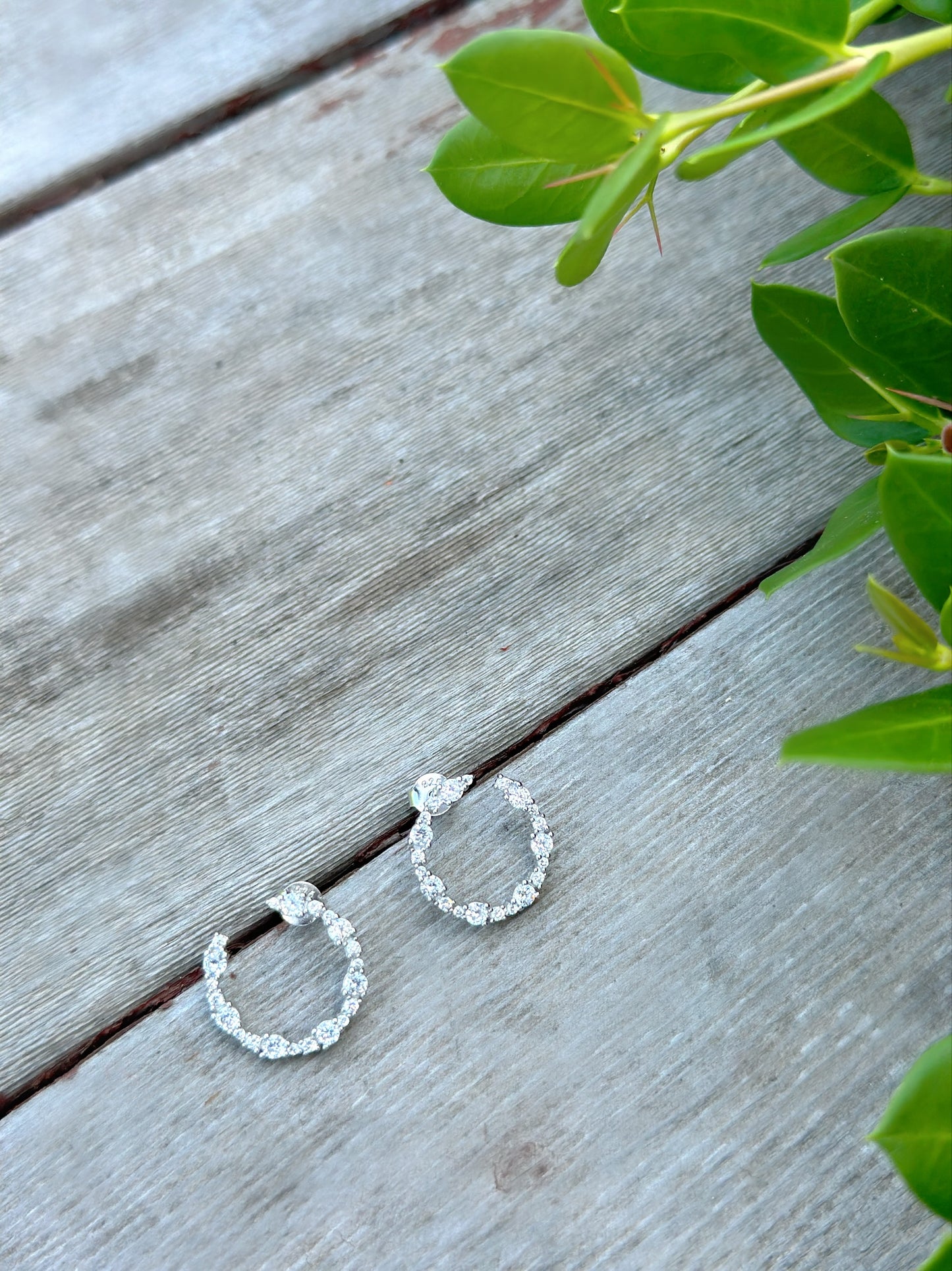 Curved Hoop Earrings